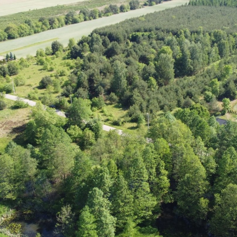 Aerial view of a rural landscape with dense trees, open fields, and a winding road passing through the area, plus a small building on the right.