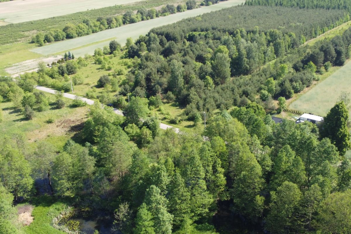 Aerial view of a rural landscape with dense trees, open fields, and a winding road passing through the area, plus a small building on the right.