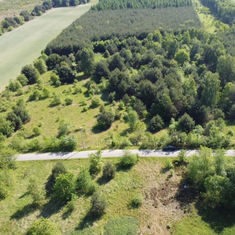 Aerial view of a tree-covered hillside with a road at the bottom and a dark car parked along it.