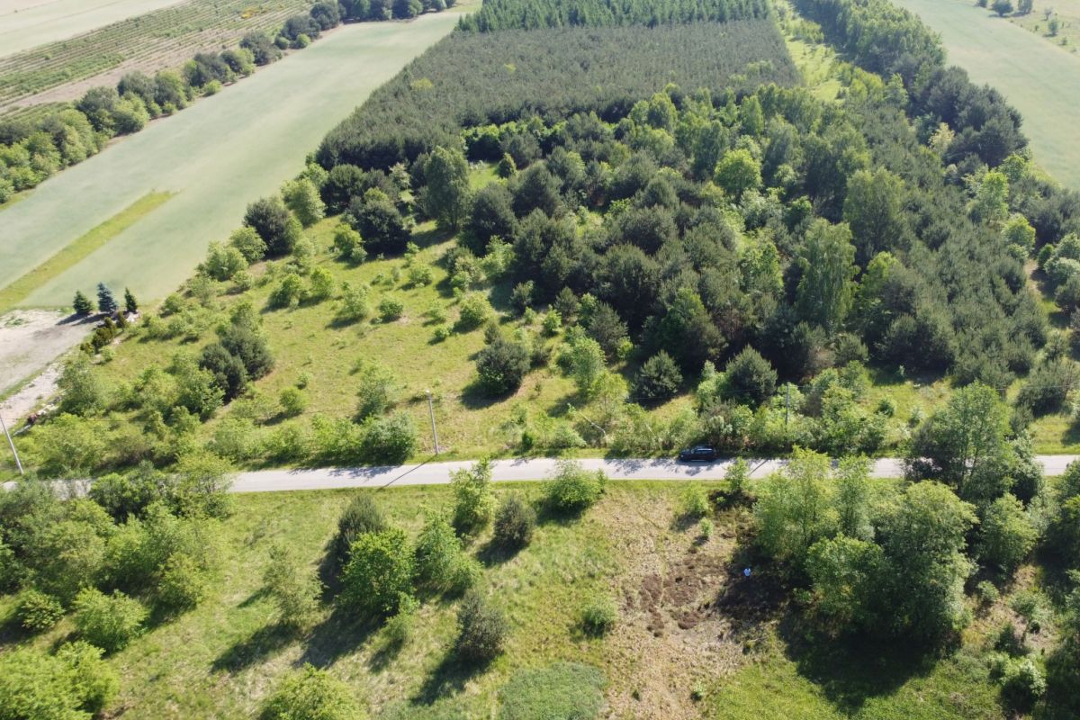 Aerial view of a tree-covered hillside with a road at the bottom and a dark car parked along it.