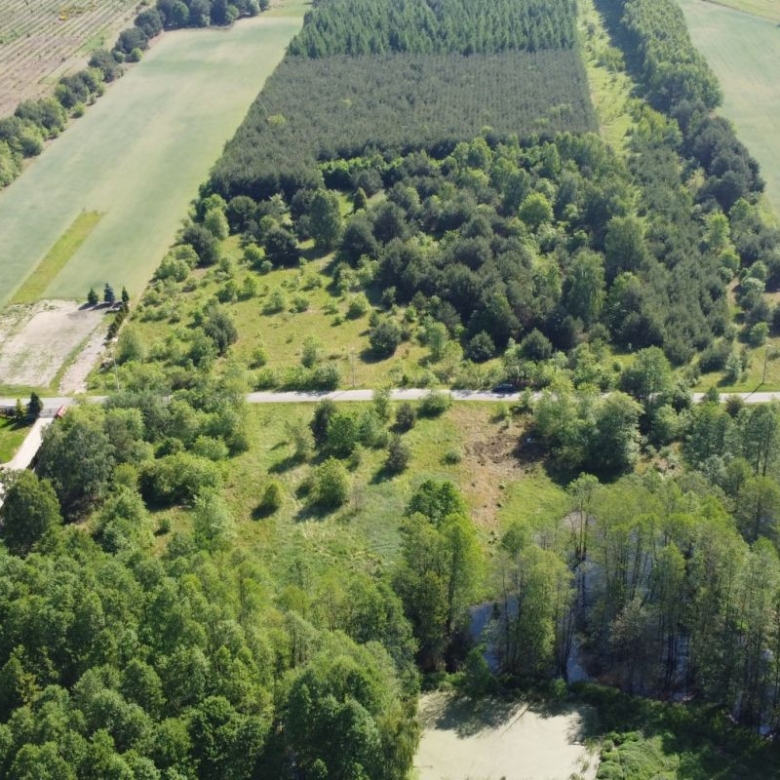 Aerial view of a rural landscape with patchwork fields, a dense central grove of trees, and a road cutting horizontally across the scene near a cluster of houses with red roofs on the left.