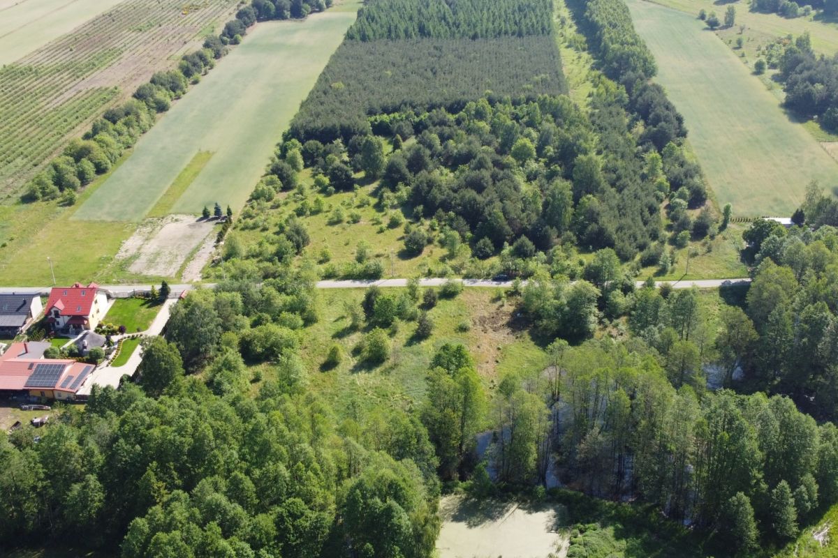 Aerial view of a rural landscape with patchwork fields, a dense central grove of trees, and a road cutting horizontally across the scene near a cluster of houses with red roofs on the left.
