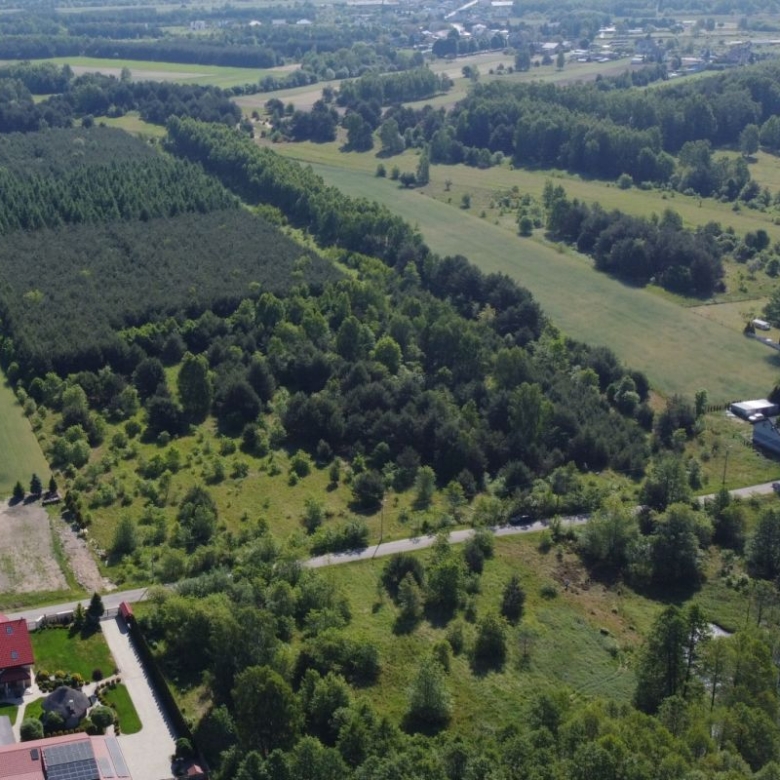 Aerial view of a rural landscape with fields, dense tree lines, and a road running through a small community nearby.