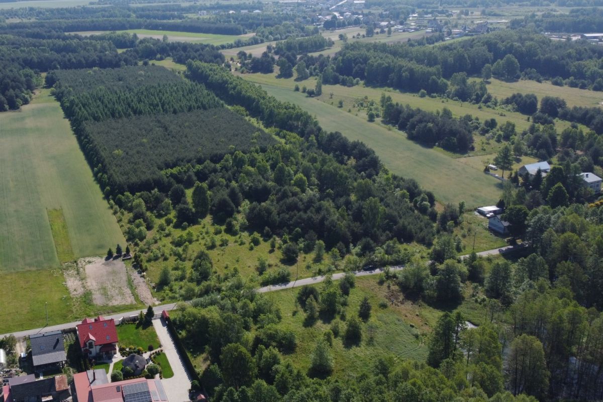 Aerial view of a rural landscape with fields, dense tree lines, and a road running through a small community nearby.