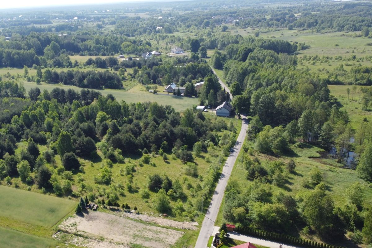 Aerial view of a rural landscape with a winding road, scattered houses, and dense trees.