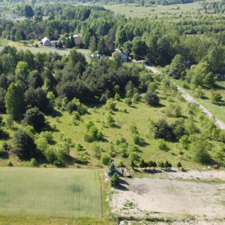 Aerial view of a rural landscape with green fields, clusters of trees, and a winding road leading to scattered houses.