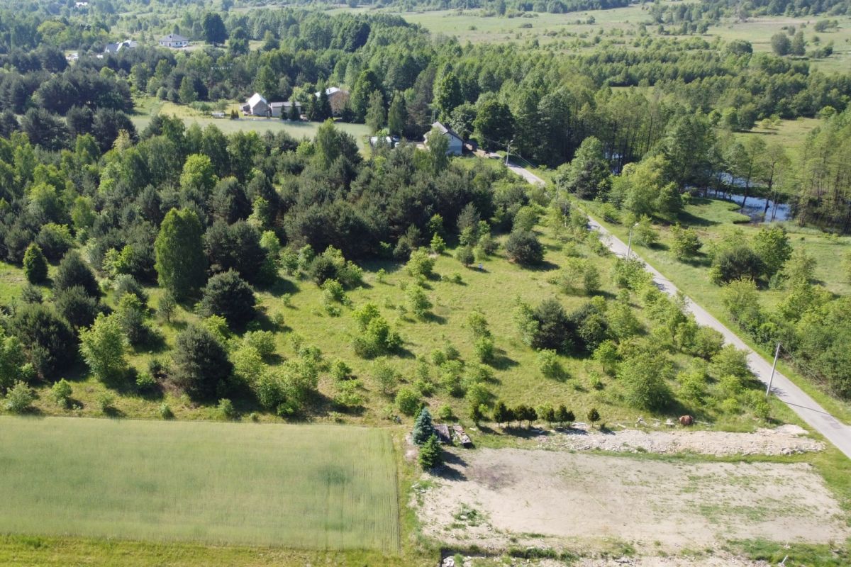 Aerial view of a rural landscape with green fields, clusters of trees, and a winding road leading to scattered houses.