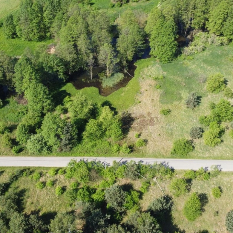 Aerial view of a rural landscape with a straight road cutting through grassy fields and clusters of trees on both sides.