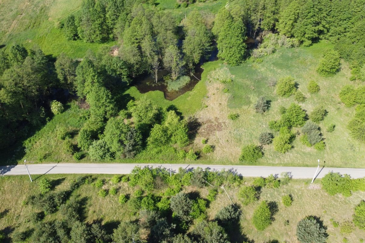 Aerial view of a rural landscape with a straight road cutting through grassy fields and clusters of trees on both sides.