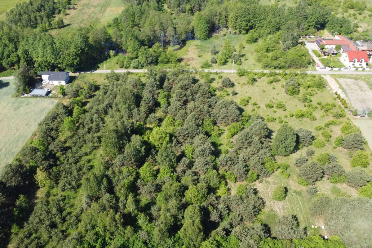 Aerial view of a rural landscape: dense trees, open grassy areas, and a road with houses on the right edge.