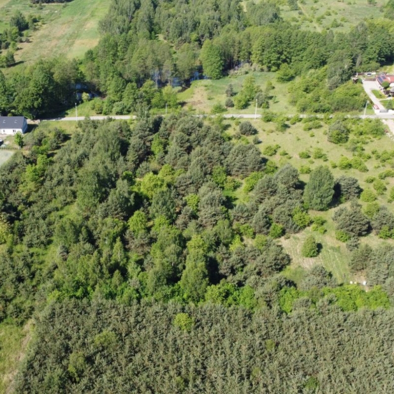 Aerial view of a rural landscape: dense trees surround open grassy fields and several houses along a road edge in the distance.]","Aerial shot showing a large wooded area with surrounding fields and a few houses on the right and left edges.