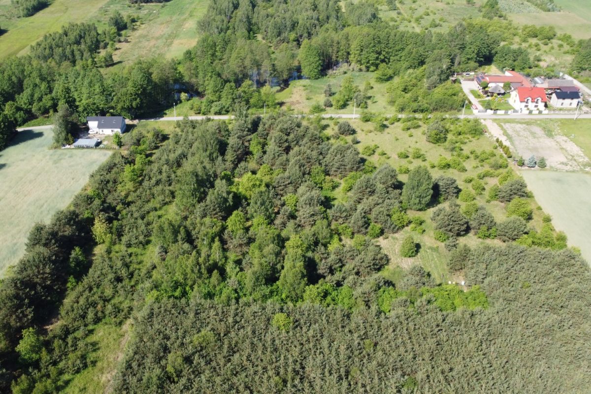 Aerial view of a rural landscape: dense trees surround open grassy fields and several houses along a road edge in the distance.]","Aerial shot showing a large wooded area with surrounding fields and a few houses on the right and left edges.