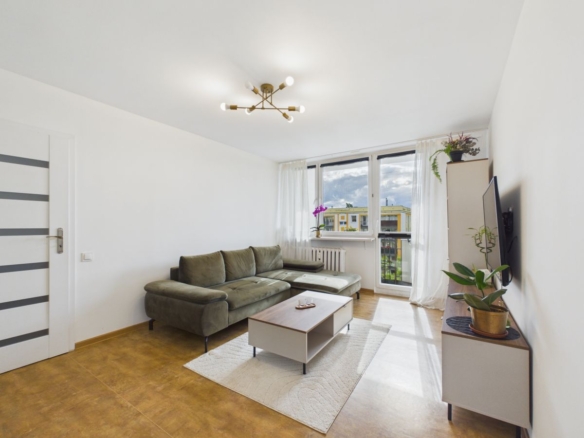 Bright living room with an olive sectional sofa, coffee table, and a wall-mounted TV; large windows with sheer white curtains letting in natural light.