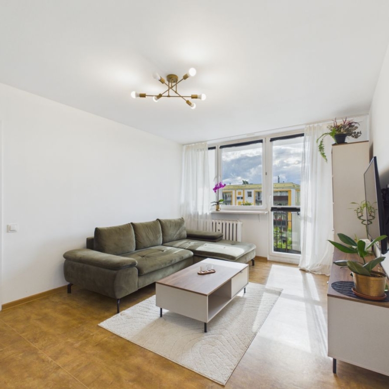 Bright living room with an olive sectional sofa, coffee table, and a wall-mounted TV; large windows with sheer white curtains letting in natural light.
