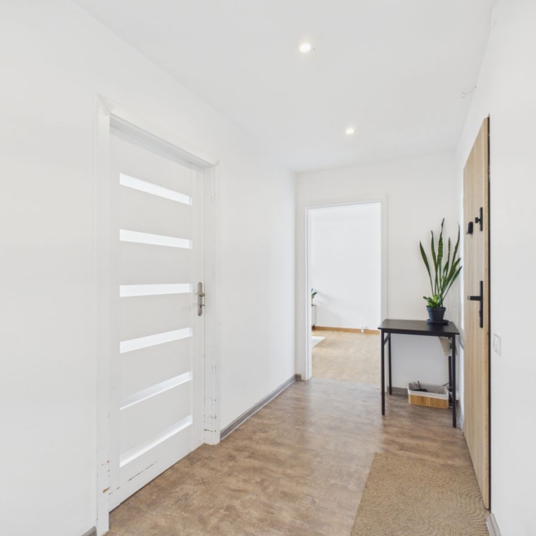 Bright white hallway with a modern white slatted door on the left, a tall wooden door on the right, and a black table with a tall plant near the wall.