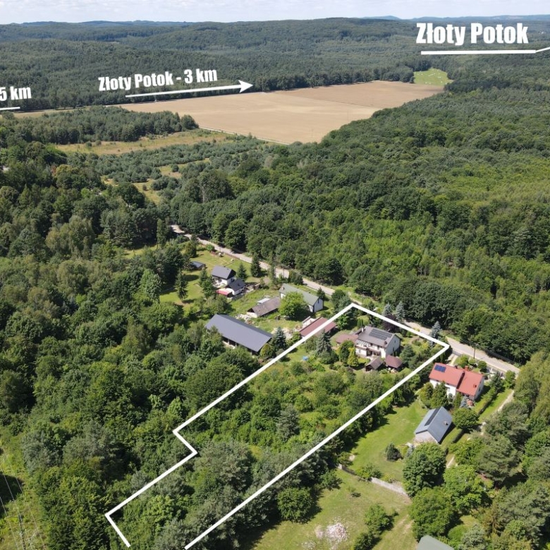 Aerial view of a forested area with a white outlined property along a road, nearby houses visible; labels show Niegowa 6.5 km, Złoty Potok 3 km, and Złoty Potok in the distance behind fields and trees.