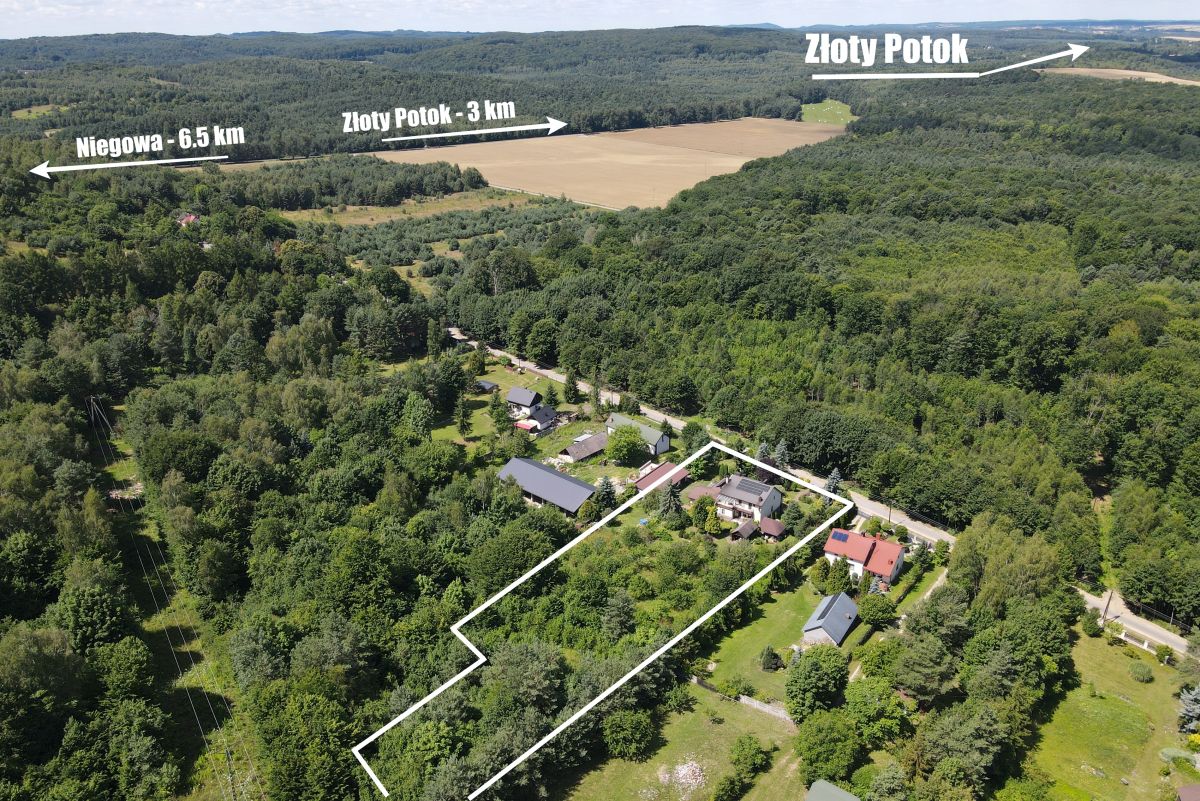Aerial view of a forested area with a white outlined property along a road, nearby houses visible; labels show Niegowa 6.5 km, Złoty Potok 3 km, and Złoty Potok in the distance behind fields and trees.