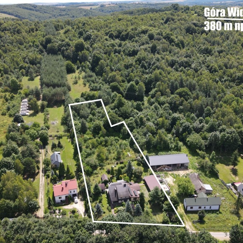Aerial view of a fenced, irregular lot outlined in white among houses and dense trees in a rural area.