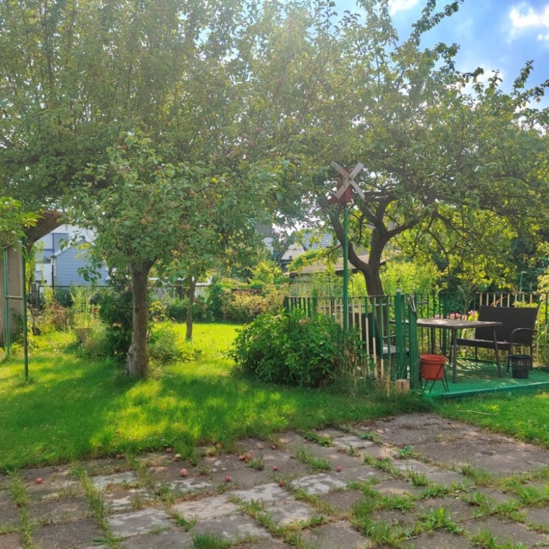 Sunny backyard garden with a small patio seating area on a green deck, surrounded by trees and a wooden fence in daylight.