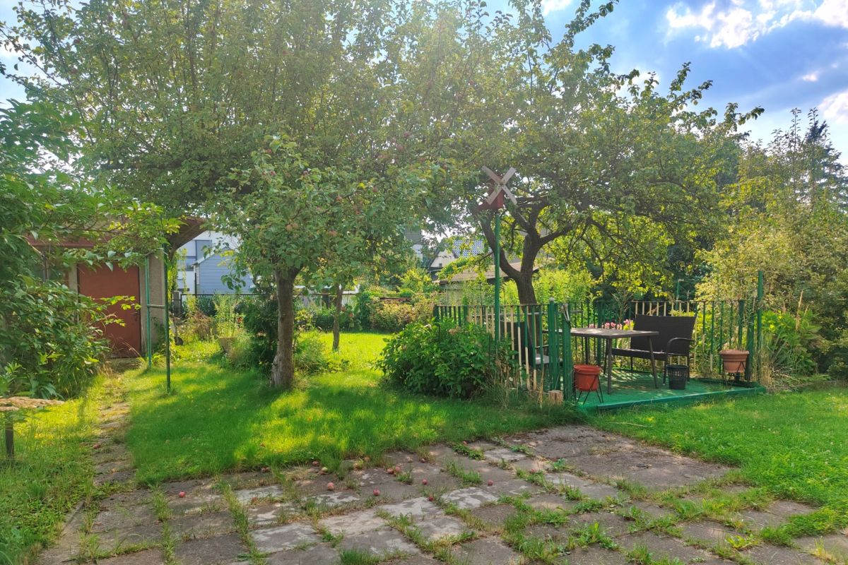 Sunny backyard garden with a small patio seating area on a green deck, surrounded by trees and a wooden fence in daylight.