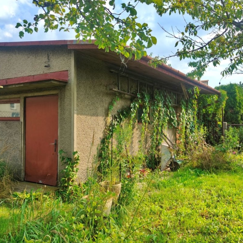 Small concrete garden shed with a red door, vines climbing a trellis along the side in an overgrown yard.