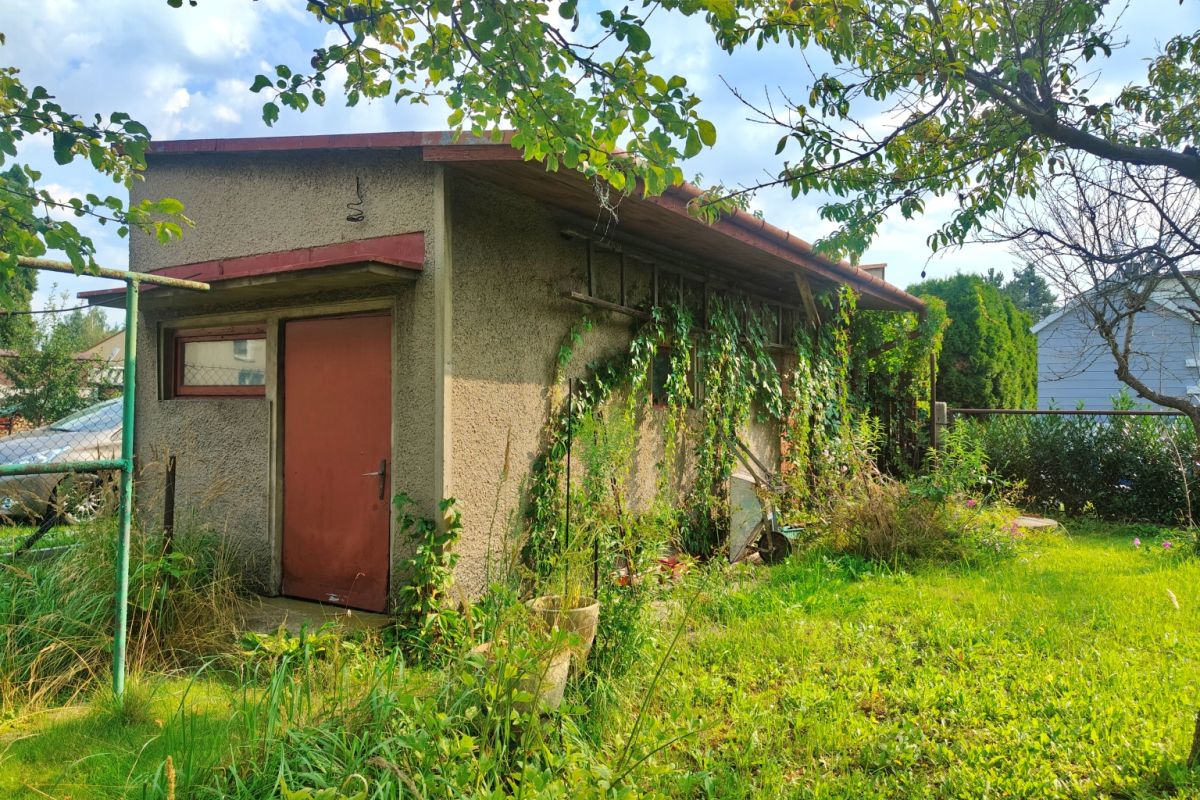 Small concrete garden shed with a red door, vines climbing a trellis along the side in an overgrown yard.