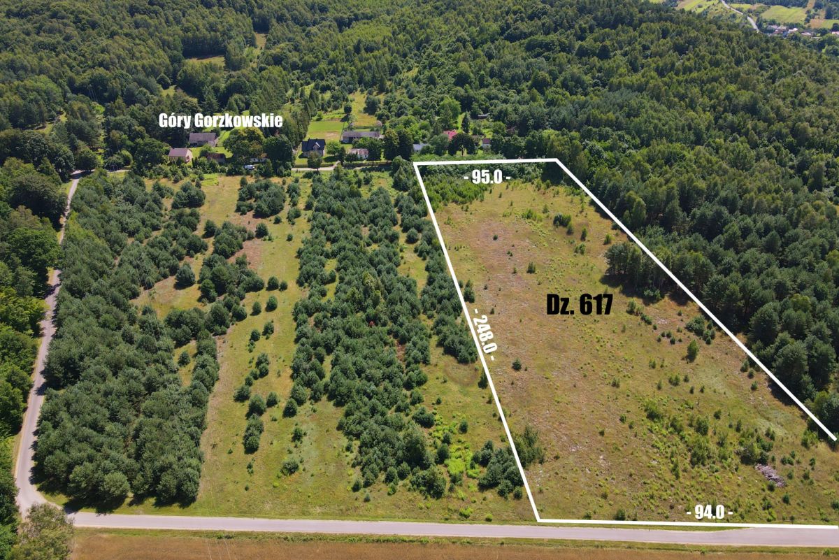Aerial view of a fenced land parcel labeled Dz. 617, with white boundary lines and dimension markers, located near a forested area and a small village labeled Góry Gorzkowskie in the distance.