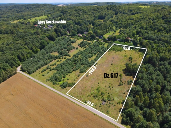 Aerial view of a rectangular lot outlined in white, labeled Dz.617, with dimensions 95 m by 248 m along a road, surrounded by trees and fields near Góry Gorzkowskie.