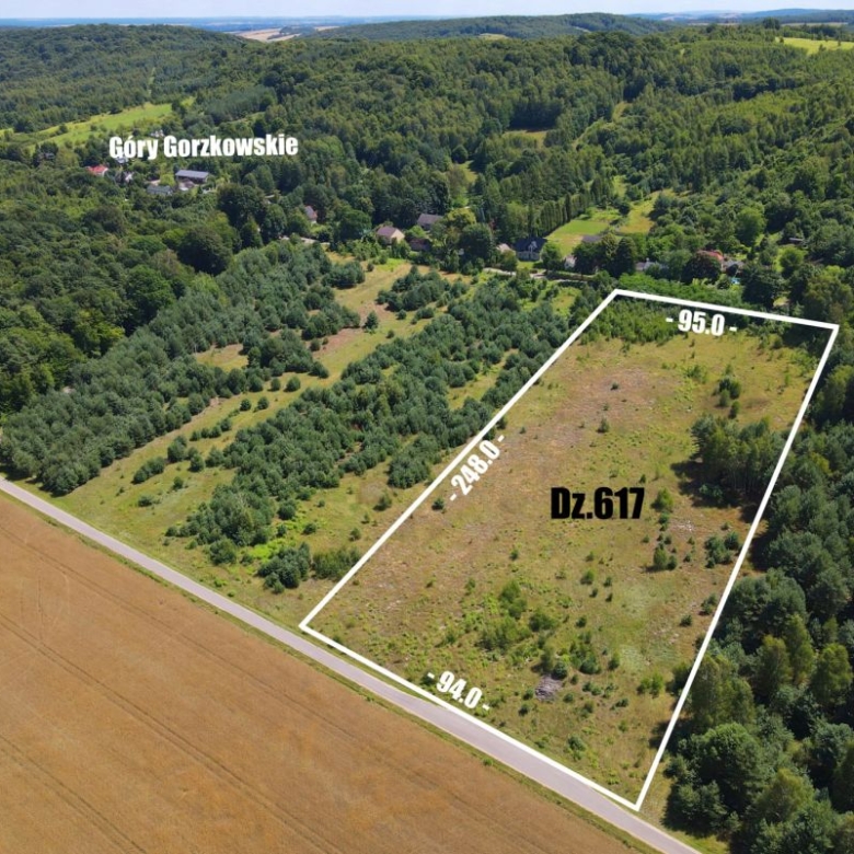 Aerial view of a rectangular lot outlined in white, labeled Dz.617, with dimensions 95 m by 248 m along a road, surrounded by trees and fields near Góry Gorzkowskie.