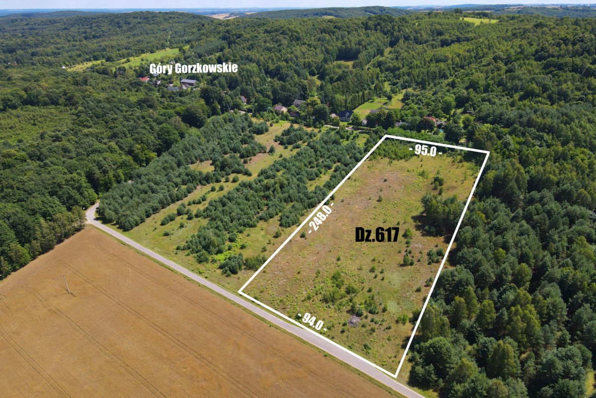 Aerial view of a rectangular lot outlined in white, labeled Dz.617, with dimensions 95 m by 248 m along a road, surrounded by trees and fields near Góry Gorzkowskie.