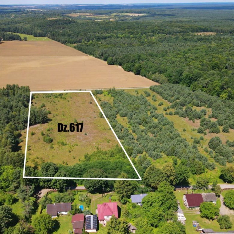 Aerial view of a rectangular plot outlined in white labeled Dz.617, bordered by trees and fields near a small village. A forest stretches beyond the open field in the distance.