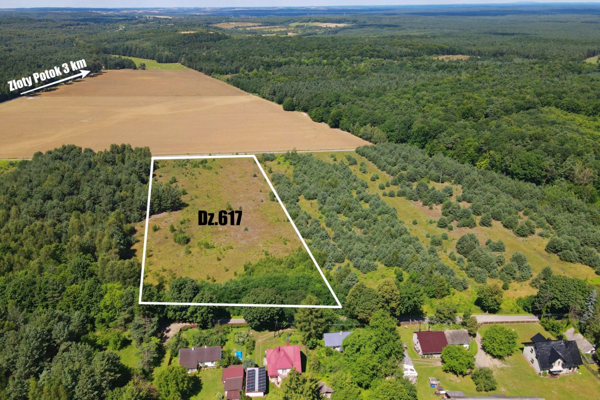 Aerial view of a rectangular plot outlined in white labeled Dz.617, bordered by trees and fields near a small village. A forest stretches beyond the open field in the distance.