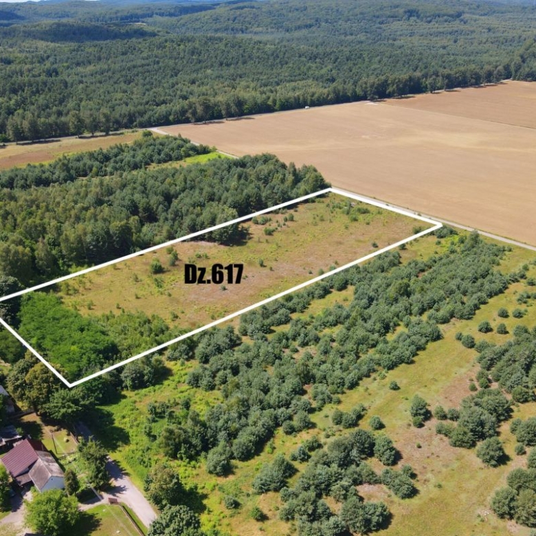 Aerial view of a rectangular plot outlined in white, labeled Dz.617, surrounded by fields and trees near a small residential area.