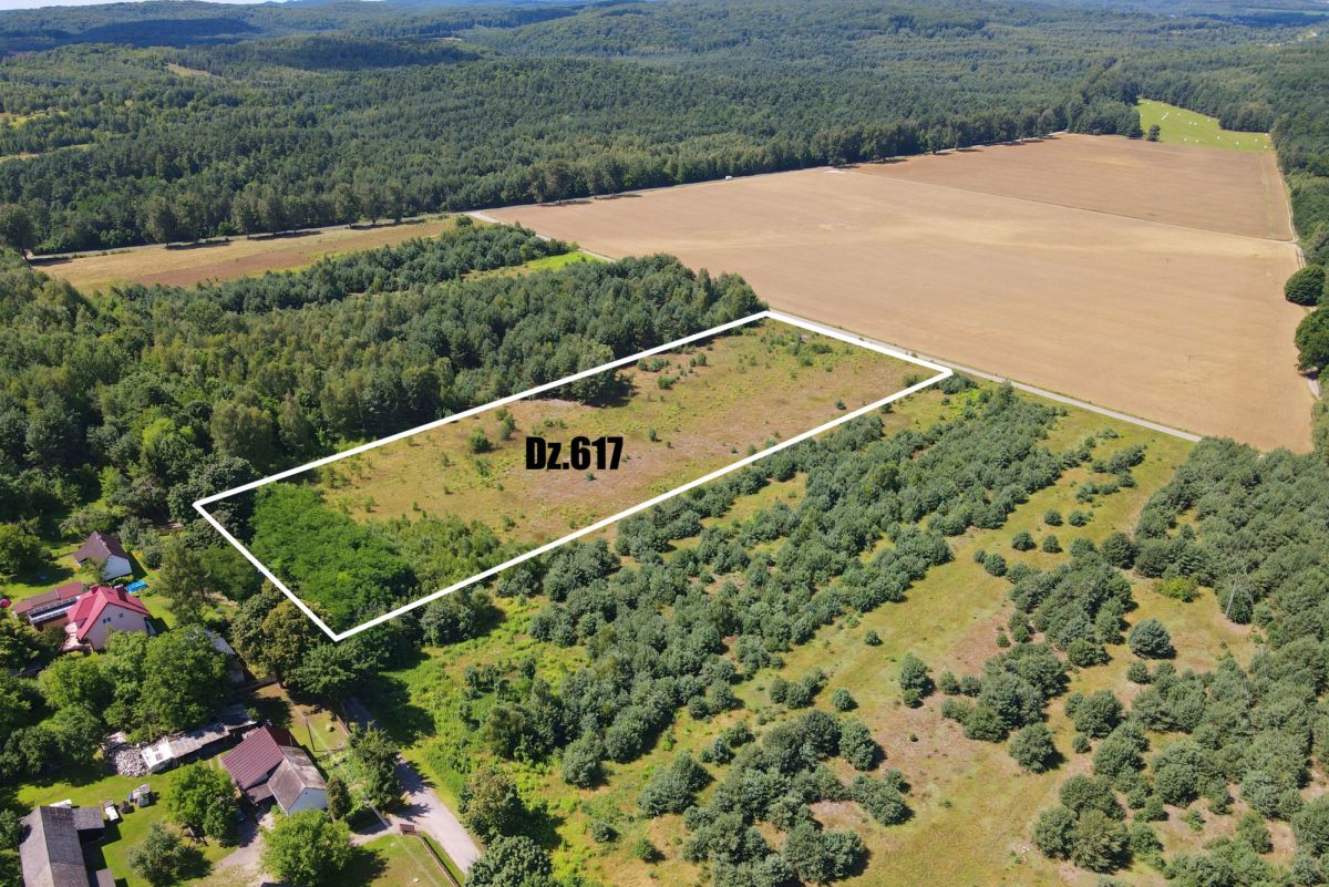 Aerial view of a rectangular plot outlined in white, labeled Dz.617, surrounded by fields and trees near a small residential area.