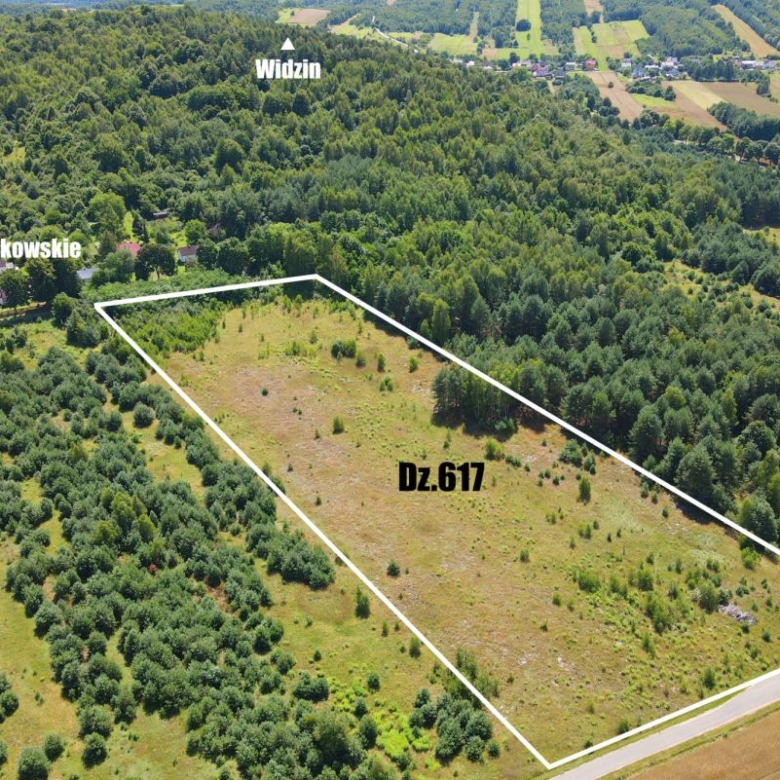 Aerial view of a rectangular plot Dz.617 outlined in white, surrounded by trees and fields near Góry Gorzkowskie.