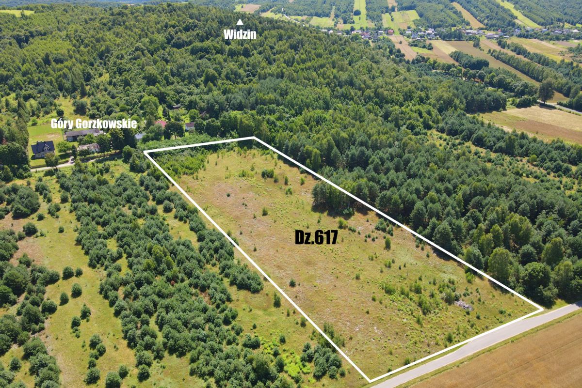 Aerial view of a rectangular plot Dz.617 outlined in white, surrounded by trees and fields near Góry Gorzkowskie.