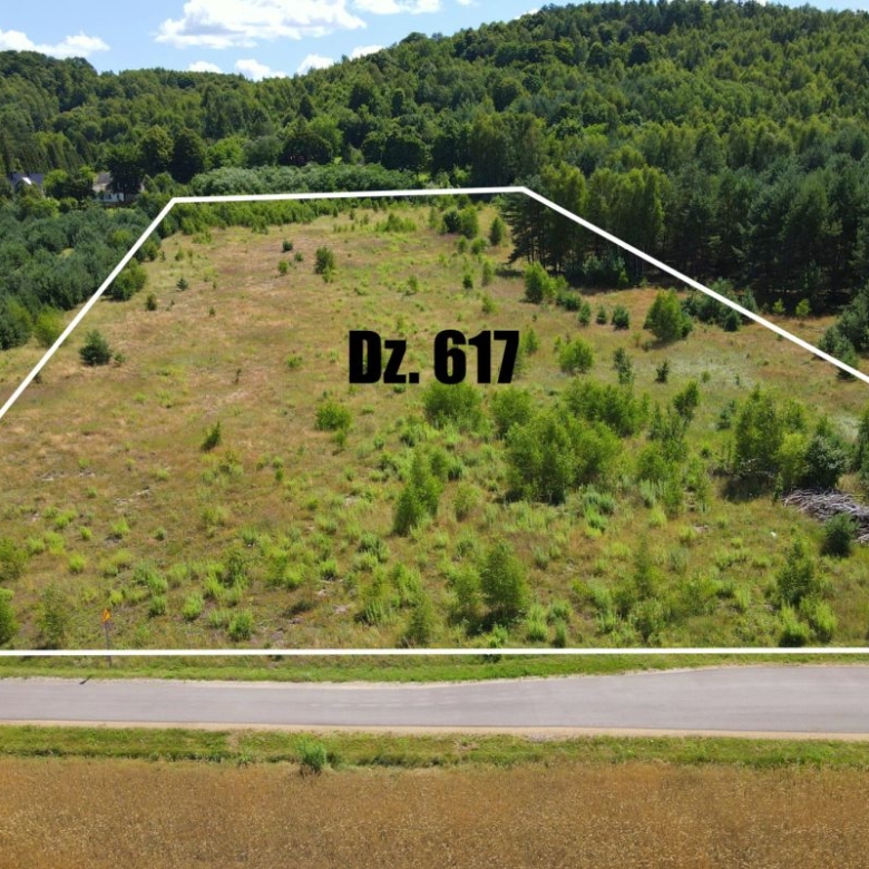 A vacant plot outlined in white on a hillside, with bold text 'Dz. 617' in the center, beside a road.