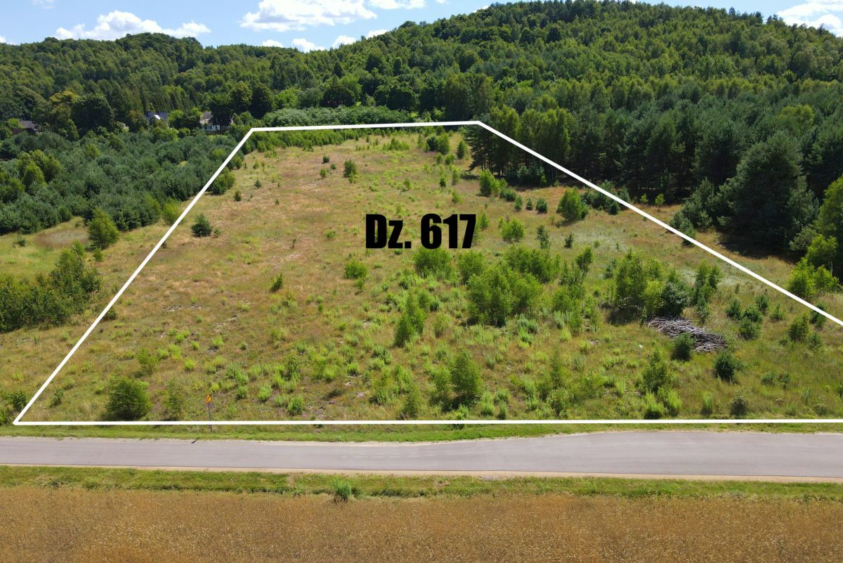 A vacant plot outlined in white on a hillside, with bold text 'Dz. 617' in the center, beside a road.