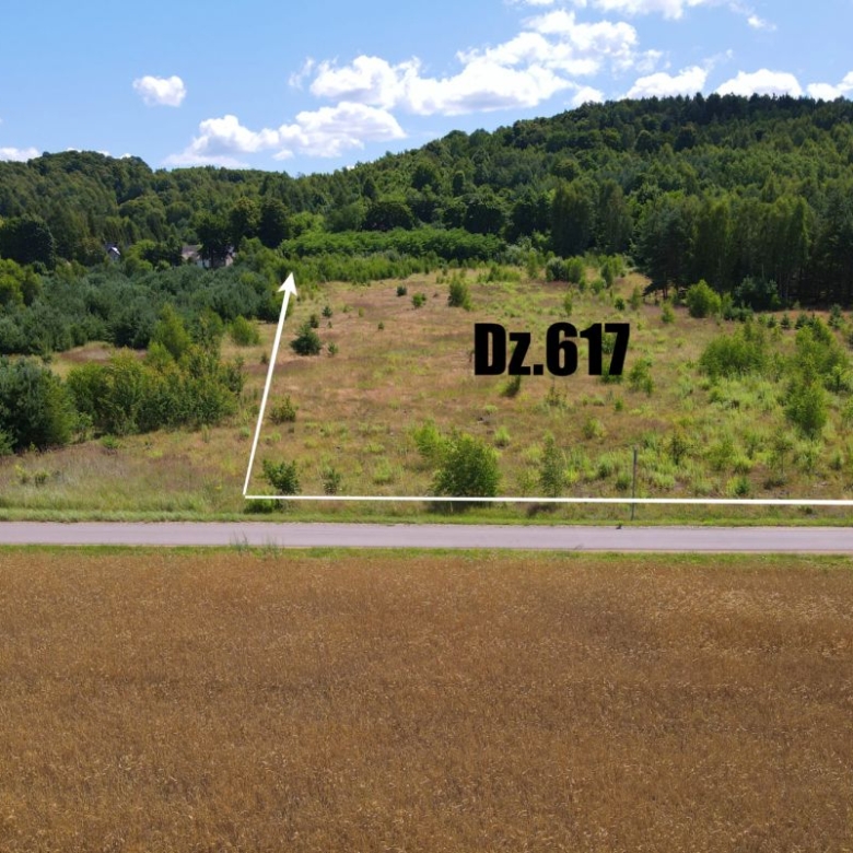 Vacant land parcel Dz.617 outlined in white along a road, with grassy area and trees in the background.