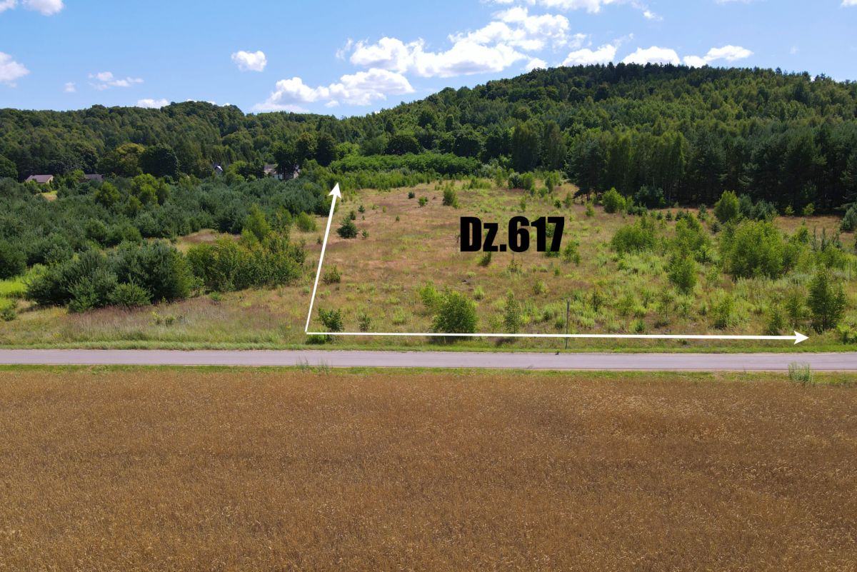 Vacant land parcel Dz.617 outlined in white along a road, with grassy area and trees in the background.