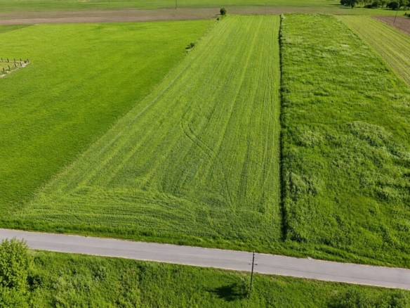 Aerial view of three long, rectangular green fields with narrow borders, a road at the bottom, and a utility pole along the roadside.