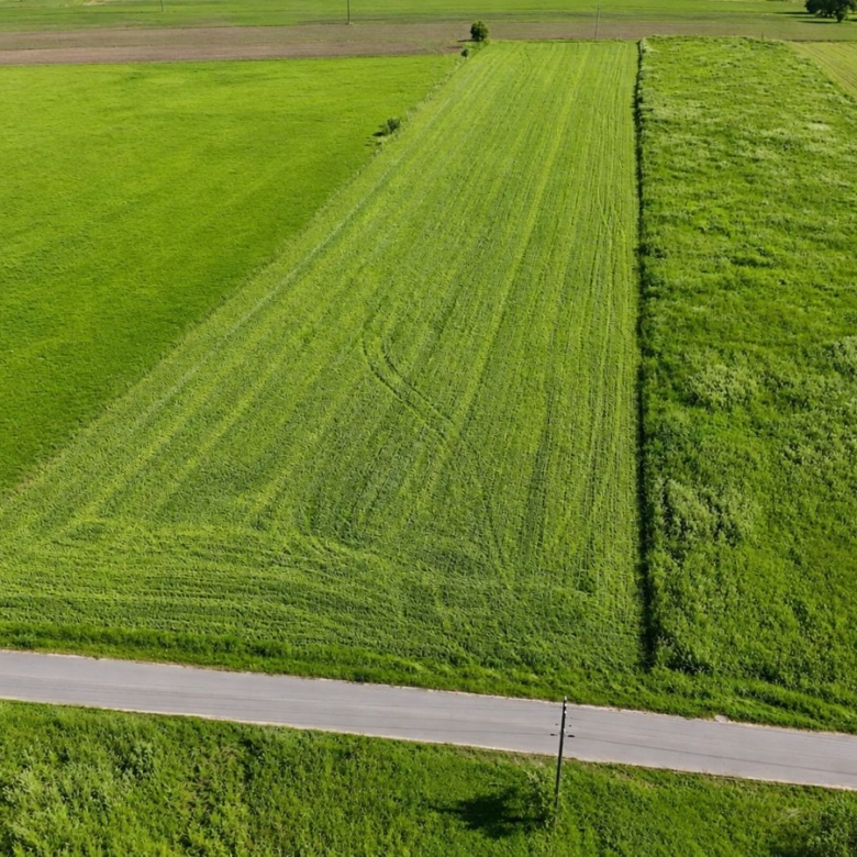 Aerial view of three long, rectangular green fields with narrow borders, a road at the bottom, and a utility pole along the roadside.