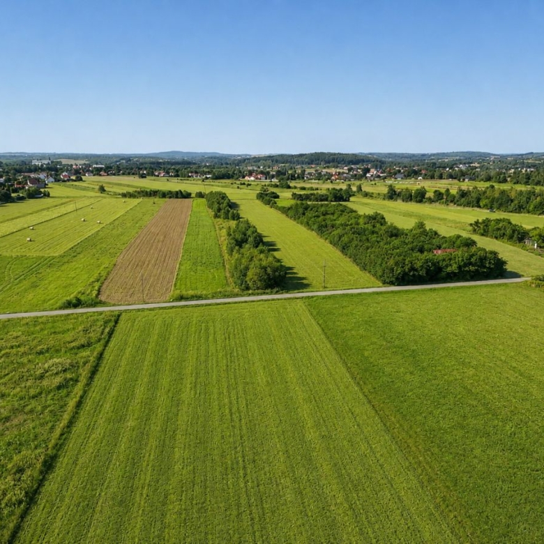 Aerial view of green agricultural fields with a distant village and blue sky.