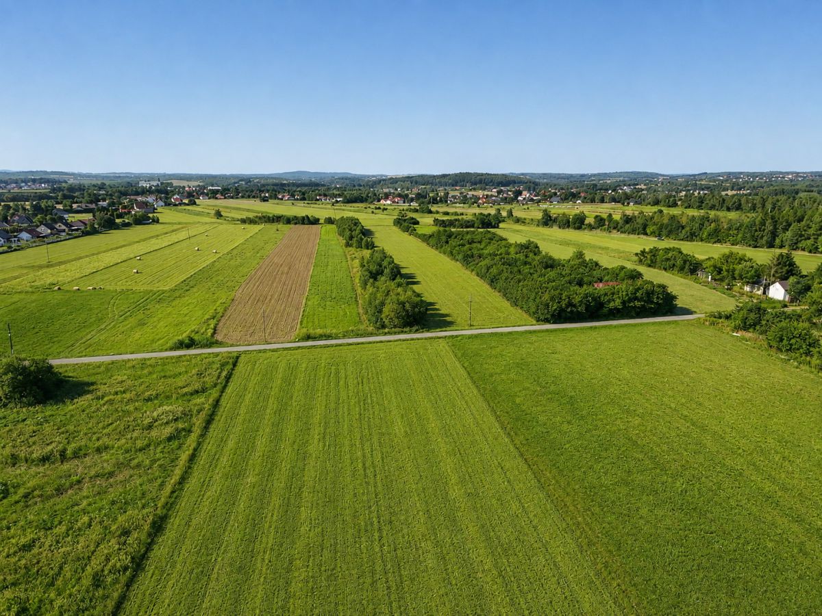 Aerial view of green agricultural fields with a distant village and blue sky.