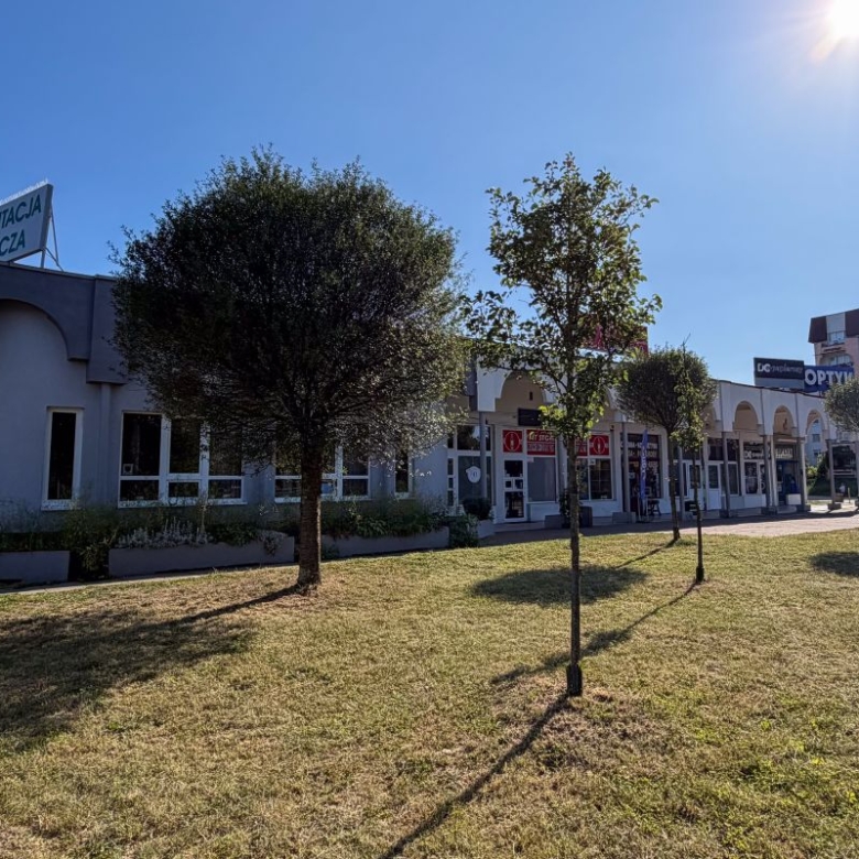 Row of storefronts with arches along a sunny plaza; a sign reads 'REHABILITACJA MEDYCZNA' atop the building, trees in the foreground.
